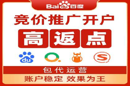 顶尖SEM竞价代运营公司案例分析